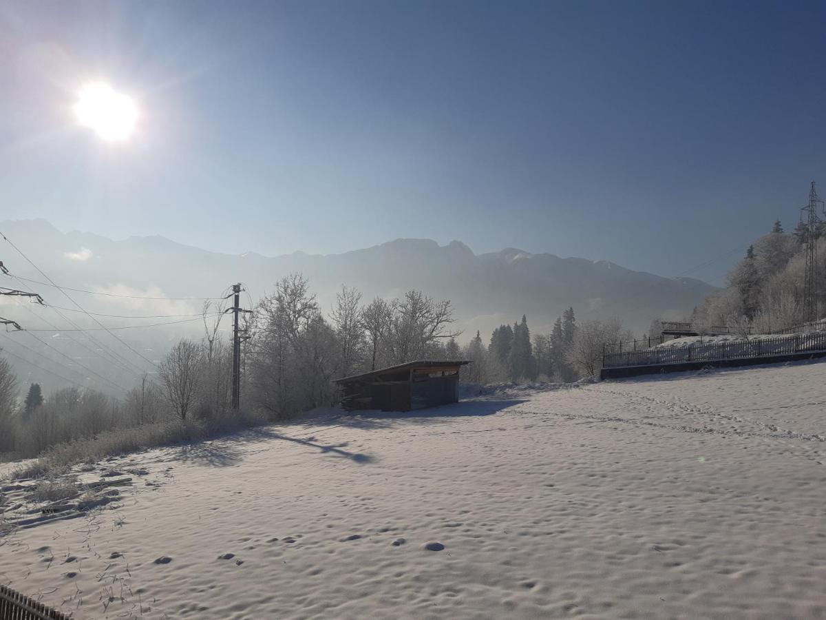 Willa Balamutka Zakopane Exterior photo